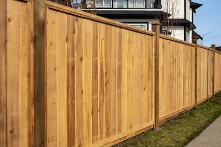 Fence Cleaning